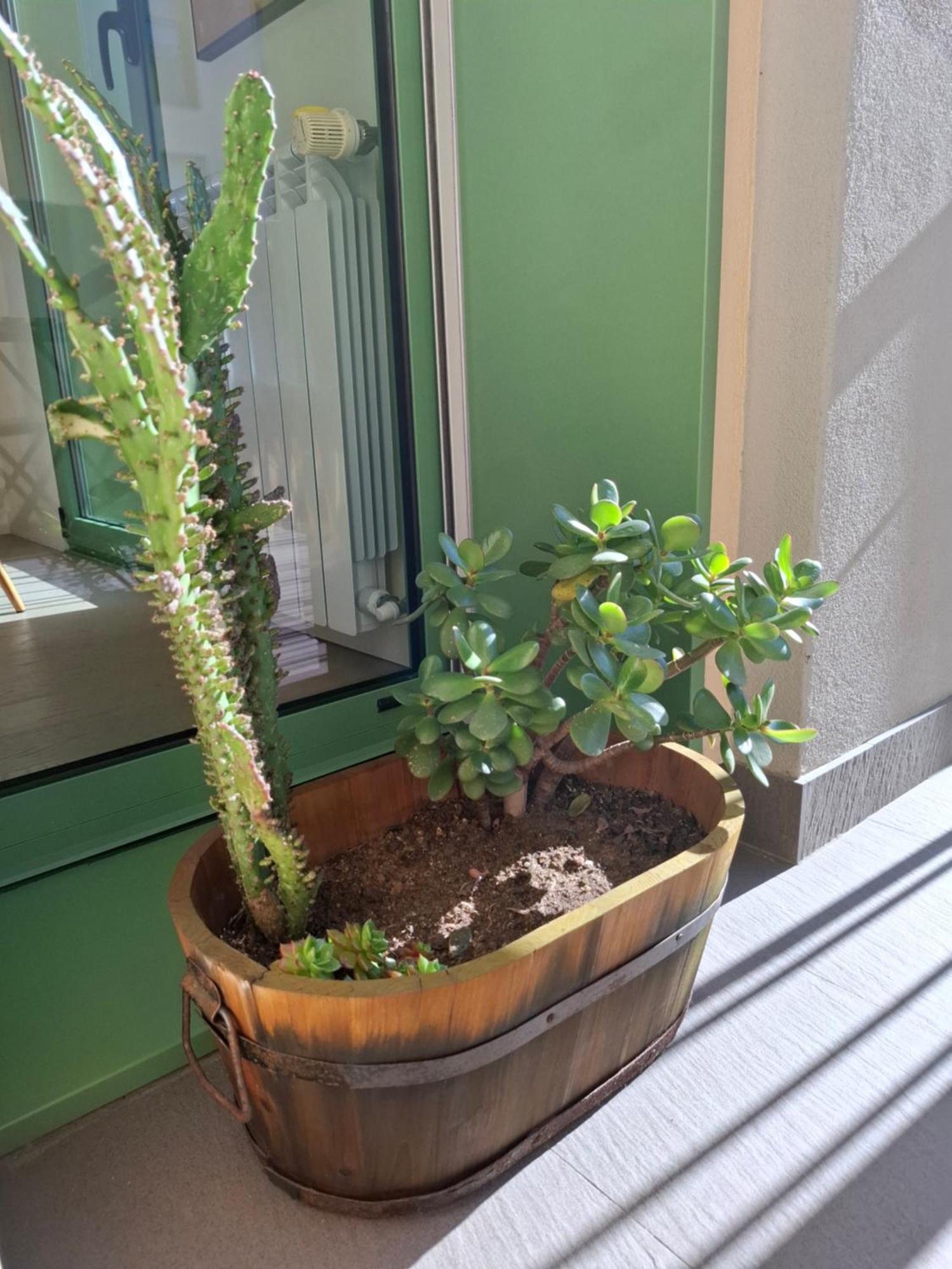 Alojamento Calypso Póvoa de Varzim Exterior foto